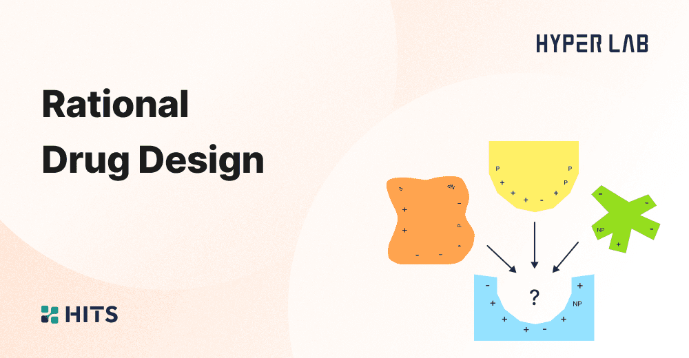 Rational Drug Design.png